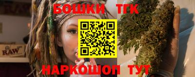 тгк Будённовск