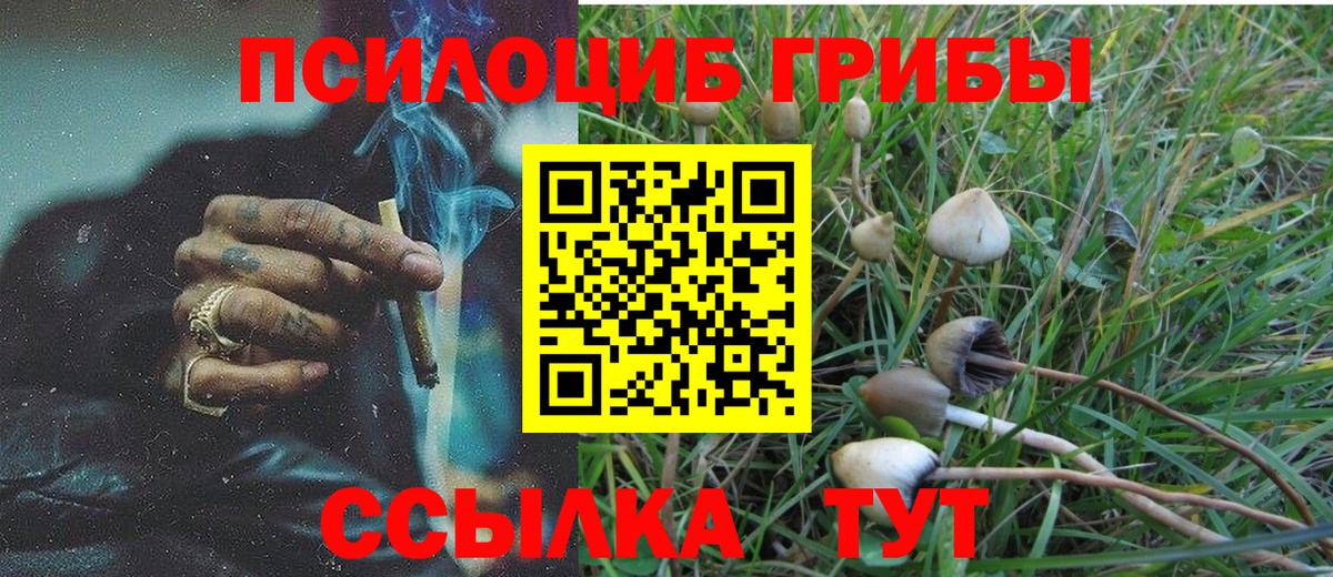 Псилоцибиновые грибы мухоморы Кузнецк