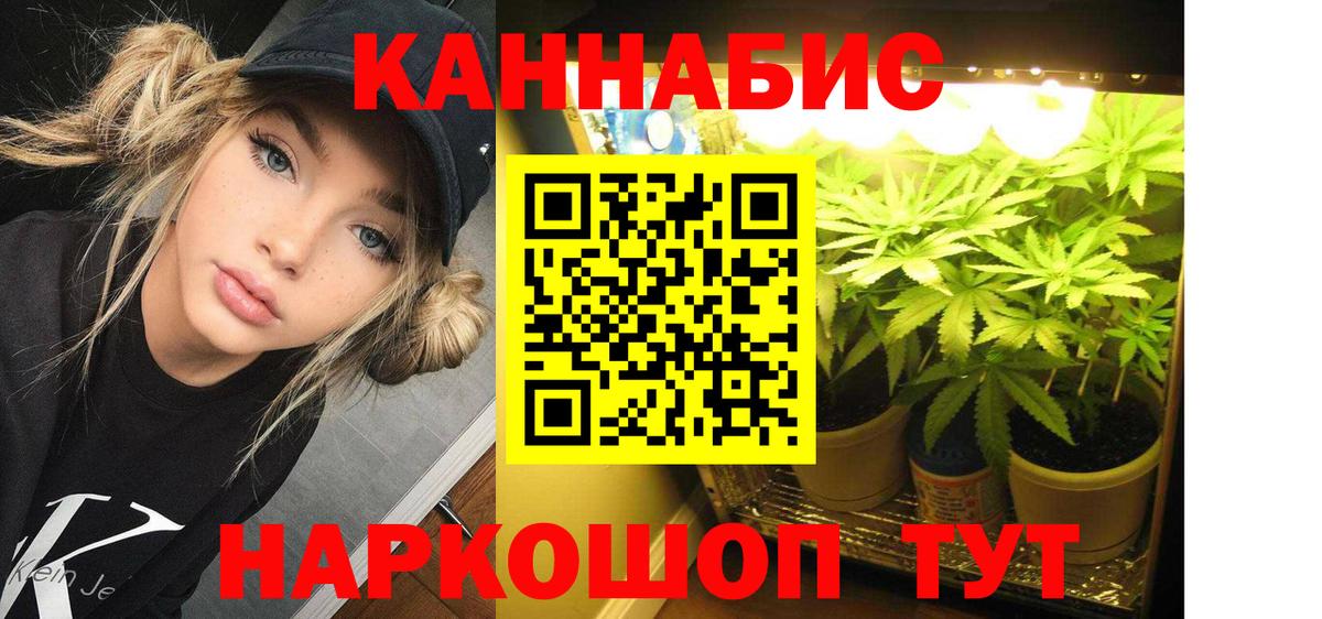 Бошки Шишки гибрид Кузнецк